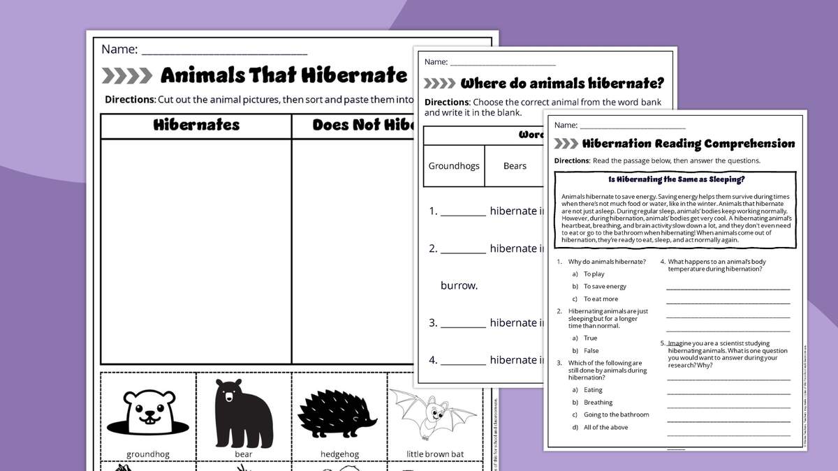 12 Animals That Hibernate Plus A Free Worksheet Bundle 12 Animals That Hibernate Plus A Free Worksheet Bundle