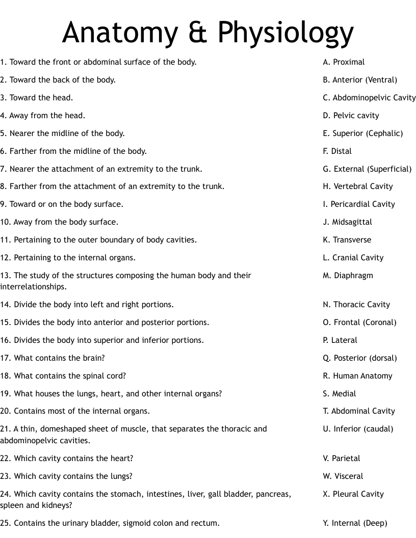 Anatomy Physiology Worksheet WordMint Human Anatomy Worksheets And Study Guides Worksheets Library
