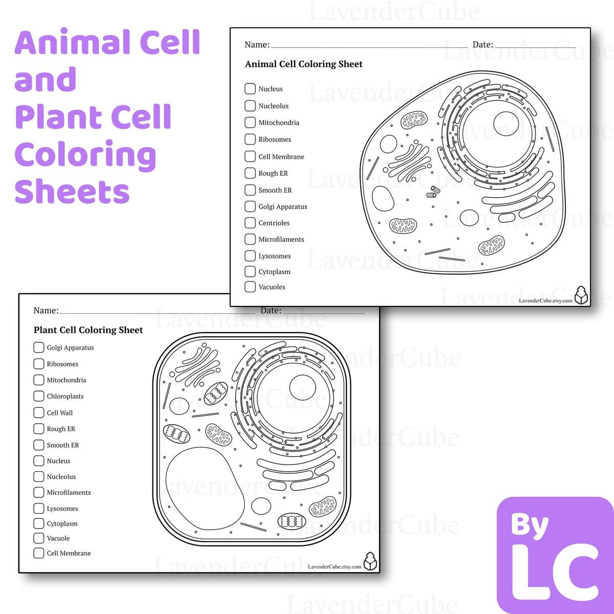 Animal And Plant Cell Coloring Worksheets Digital Download 300 DPI Png Etsy Animal Plant Cell Structure Worksheet Labeling Diagram Printable Etsy