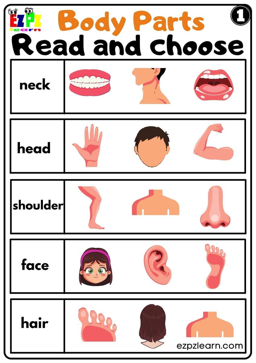 Customize 81 Body Parts Worksheets Templates Online Canva