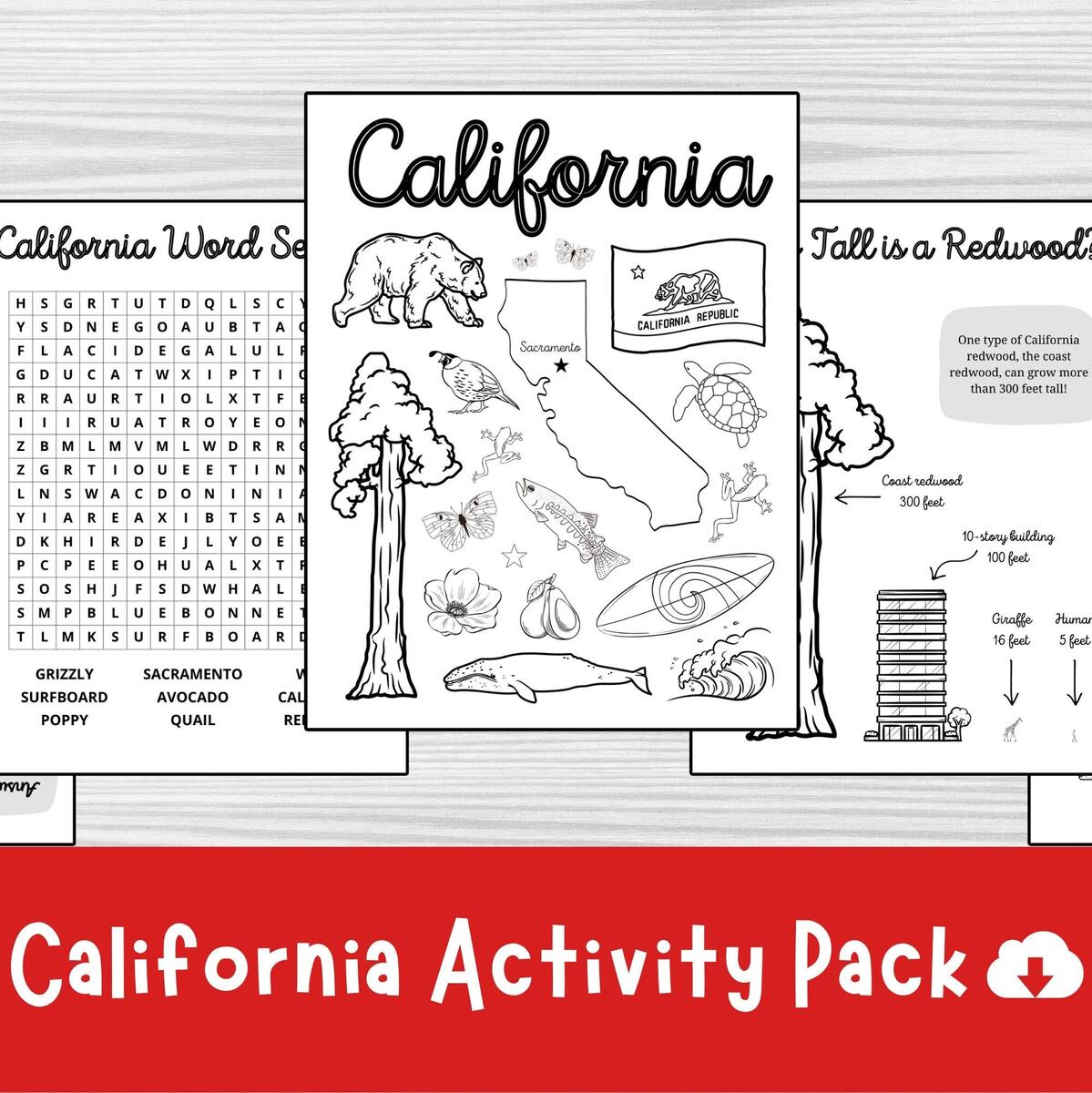 California Activity Pack State Symbols Trivia And Word Search Printable PDF Etsy Finland California Activity Pack State Symbols Trivia And Word Search Printable PDF Etsy Finland