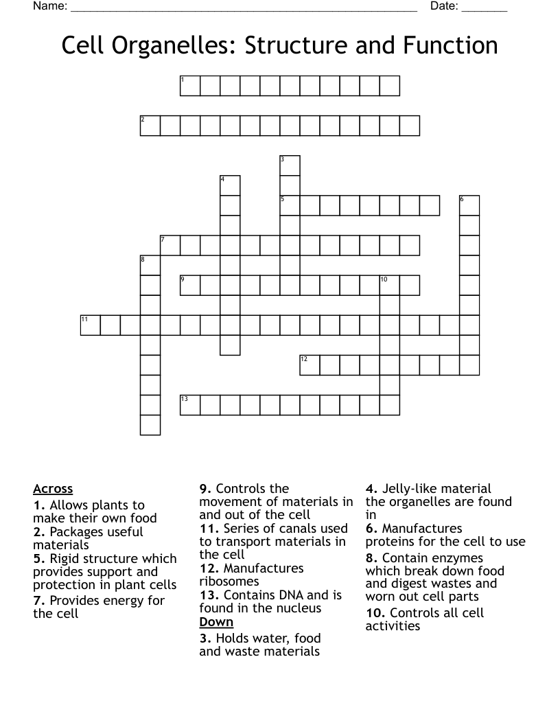 Cell Organelles Structure And Function Crossword WordMint Cell Organelles Structure And Function Crossword WordMint