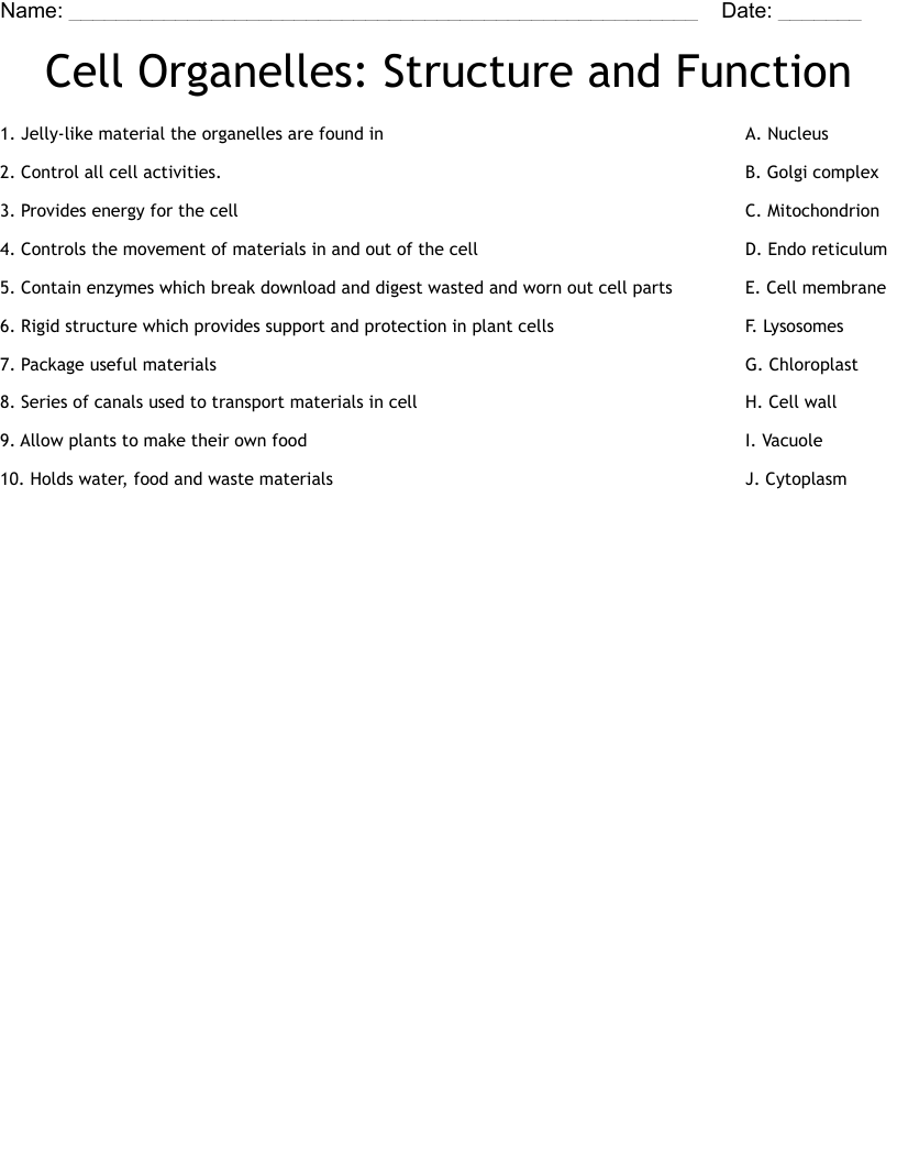 Cell Organelles Structure And Function Worksheet WordMint
