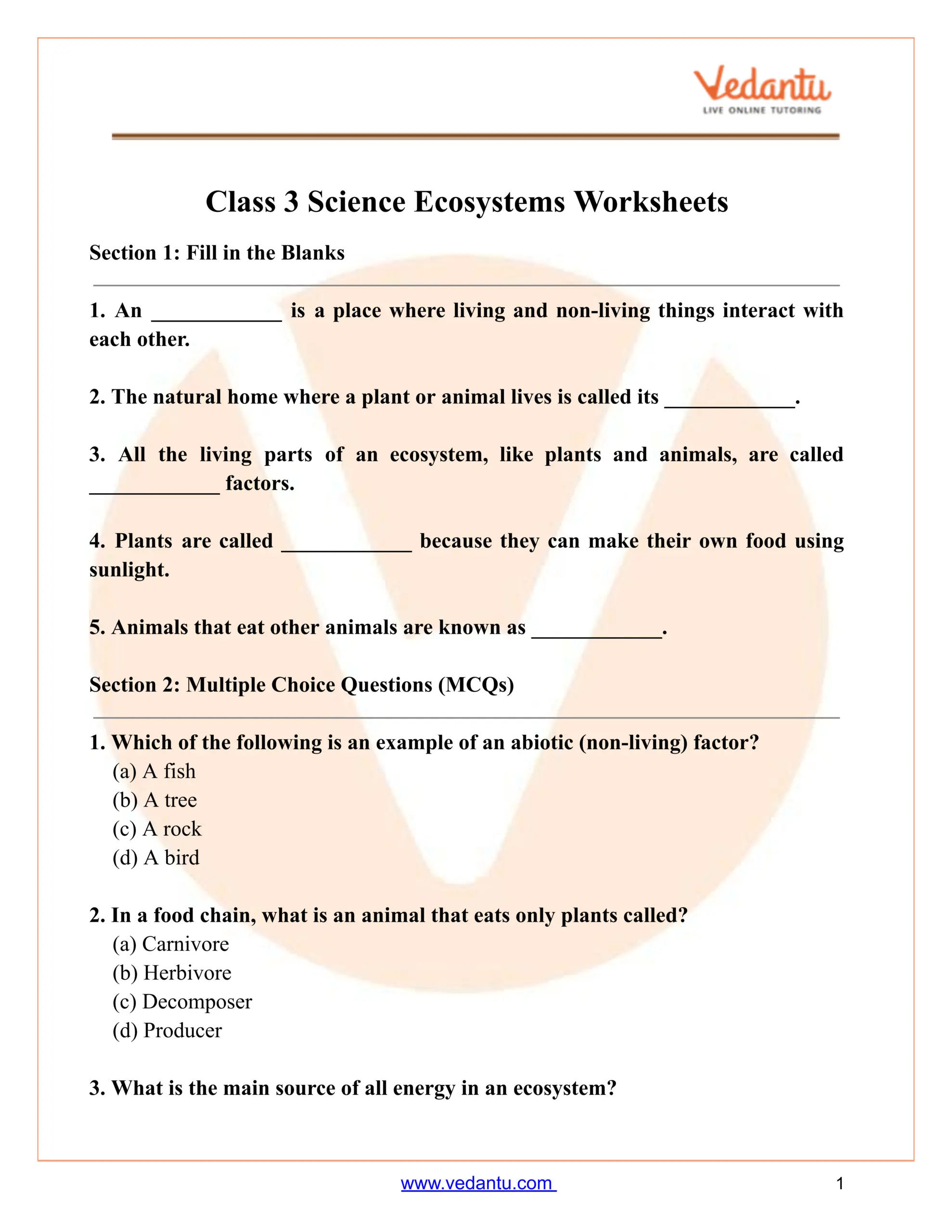 Class 3 Science Ecosystem Worksheet With Answers Free PDF Printable Solid Liquids And Gas Worksheets For Grade 1 2 3 Made By Teachers