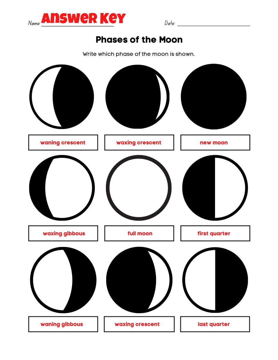 Easy Phases Of The Moon Worksheet Fun PDF Print Activity With Answer Key Etsy Israel Moon Phases Free Worksheet SKOOLGO