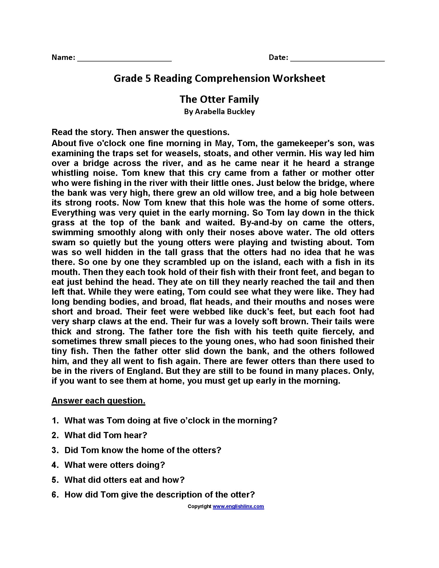 Fifth Grade Reading Comprehension Superstar Worksheets