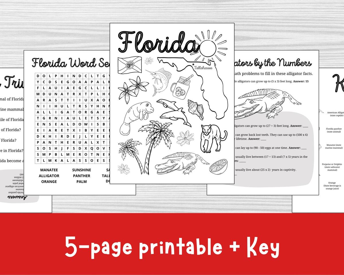 Florida Activity Worksheets State Symbols Trivia Word Search PDF Etsy