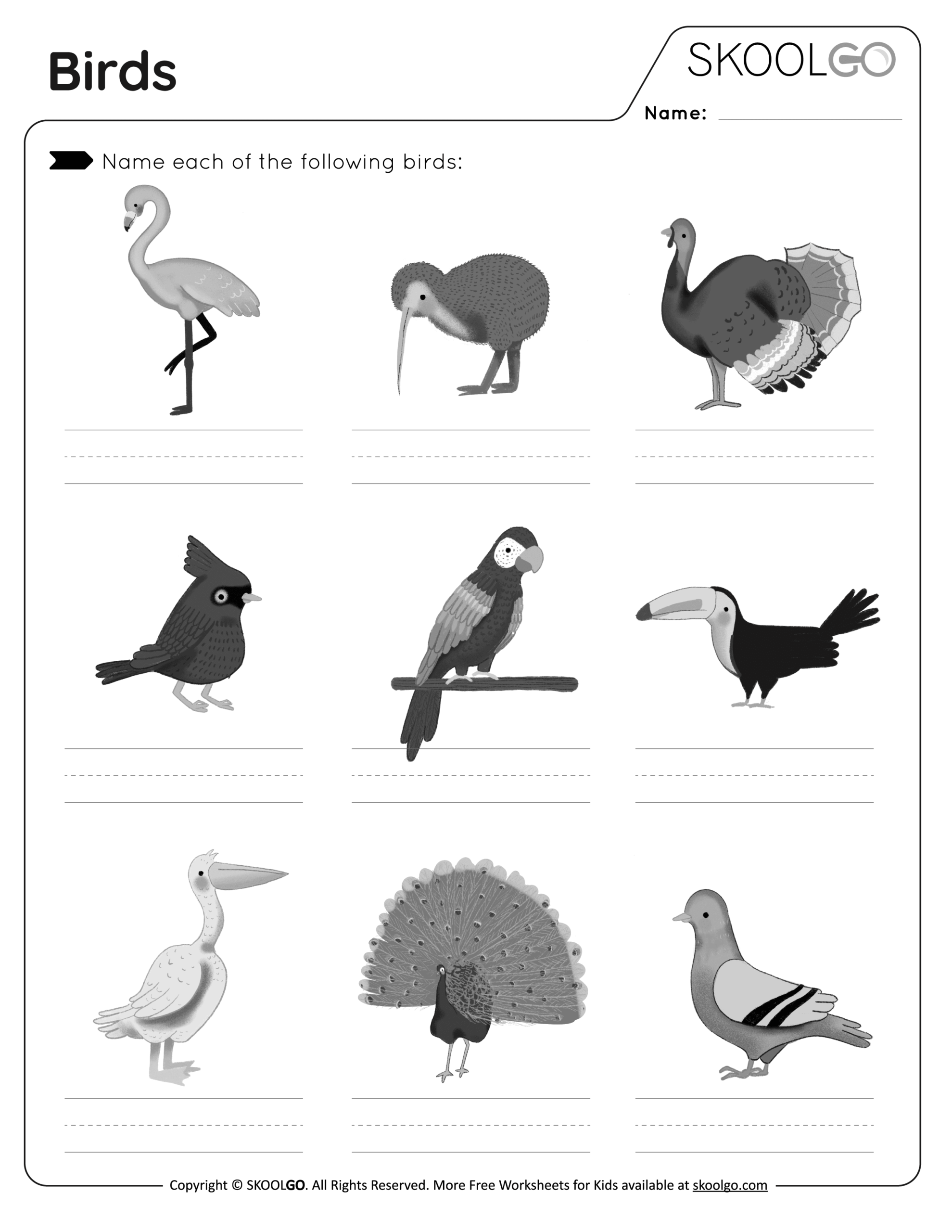 Free Birds Worksheet Download Free Birds Worksheet Png Images Free Worksheets On Clipart Library Free Birds Worksheet Download Free Birds Worksheet Png Images Free Worksheets On Clipart Library
