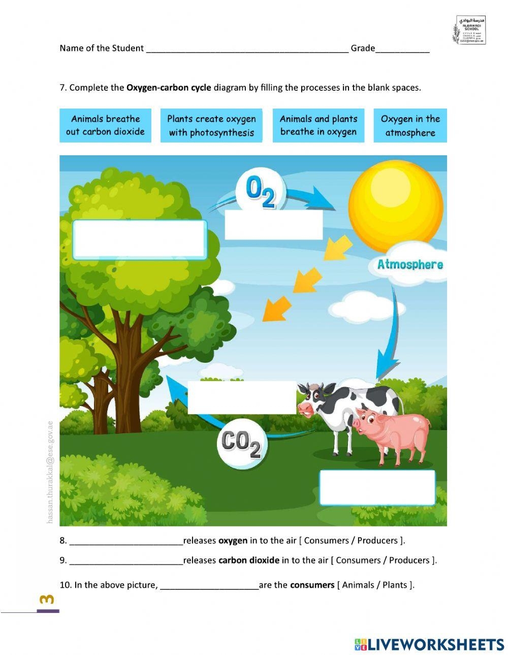 Free Carbon Dioxide Oxygen Cycle Worksheet Download Free Carbon Dioxide Oxygen Cycle Worksheet Png Images Free Worksheets On Clipart Library Printable 8th Grade The Carbon Cycle Worksheets Download
