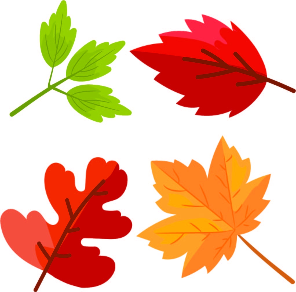 Free Printable Fall Leaf Patterns Printable Party Favors