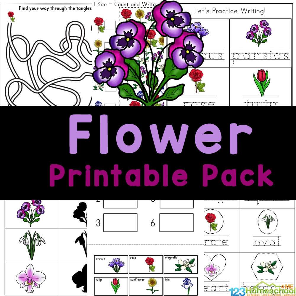 FREE Printable Flower Worksheets For Kids