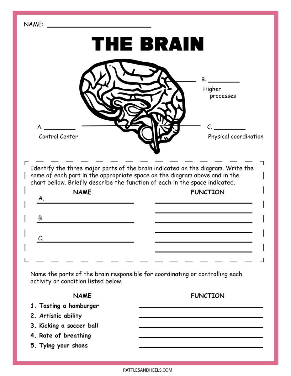 10 6 Grade Science Worksheets Free PDF At Worksheeto Worksheets Library