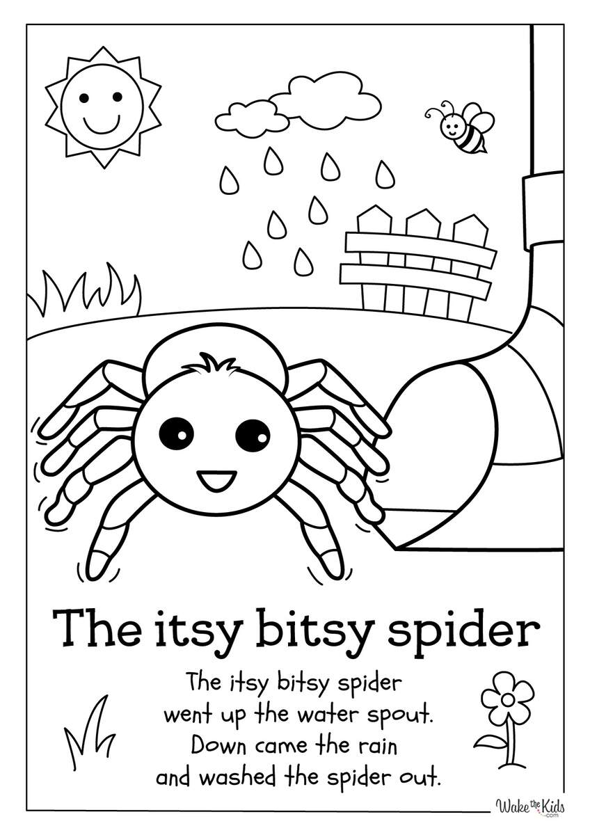 Itsy Bitsy Spider Coloring Pages Free Printable PDFs WakeTheKids