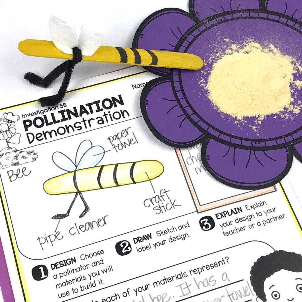 Pollination STEM Activity Around The Kampfire