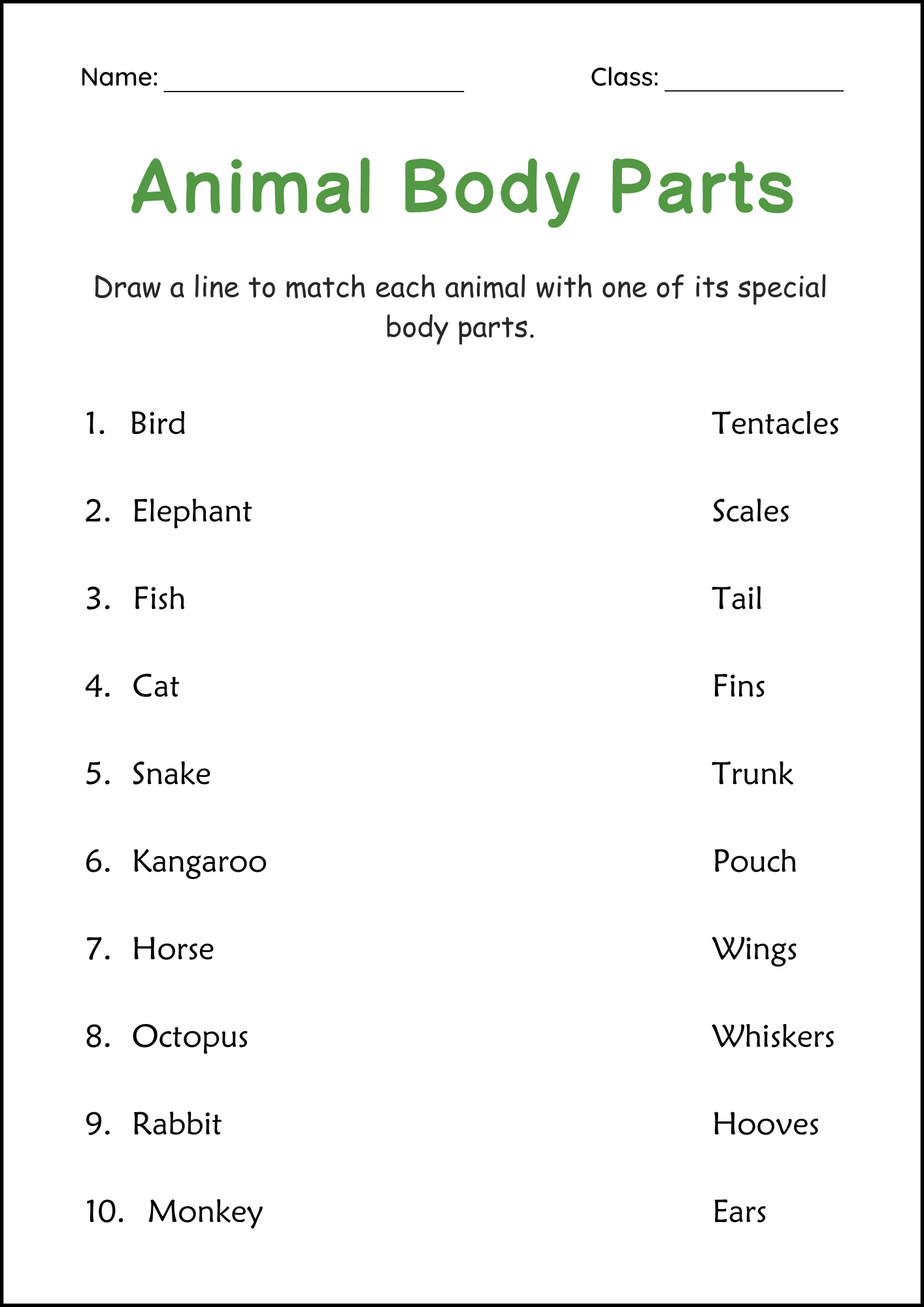 Printable Body Parts Of Animals Activity Worksheets For Grade 2 3 4 Teaching Resources