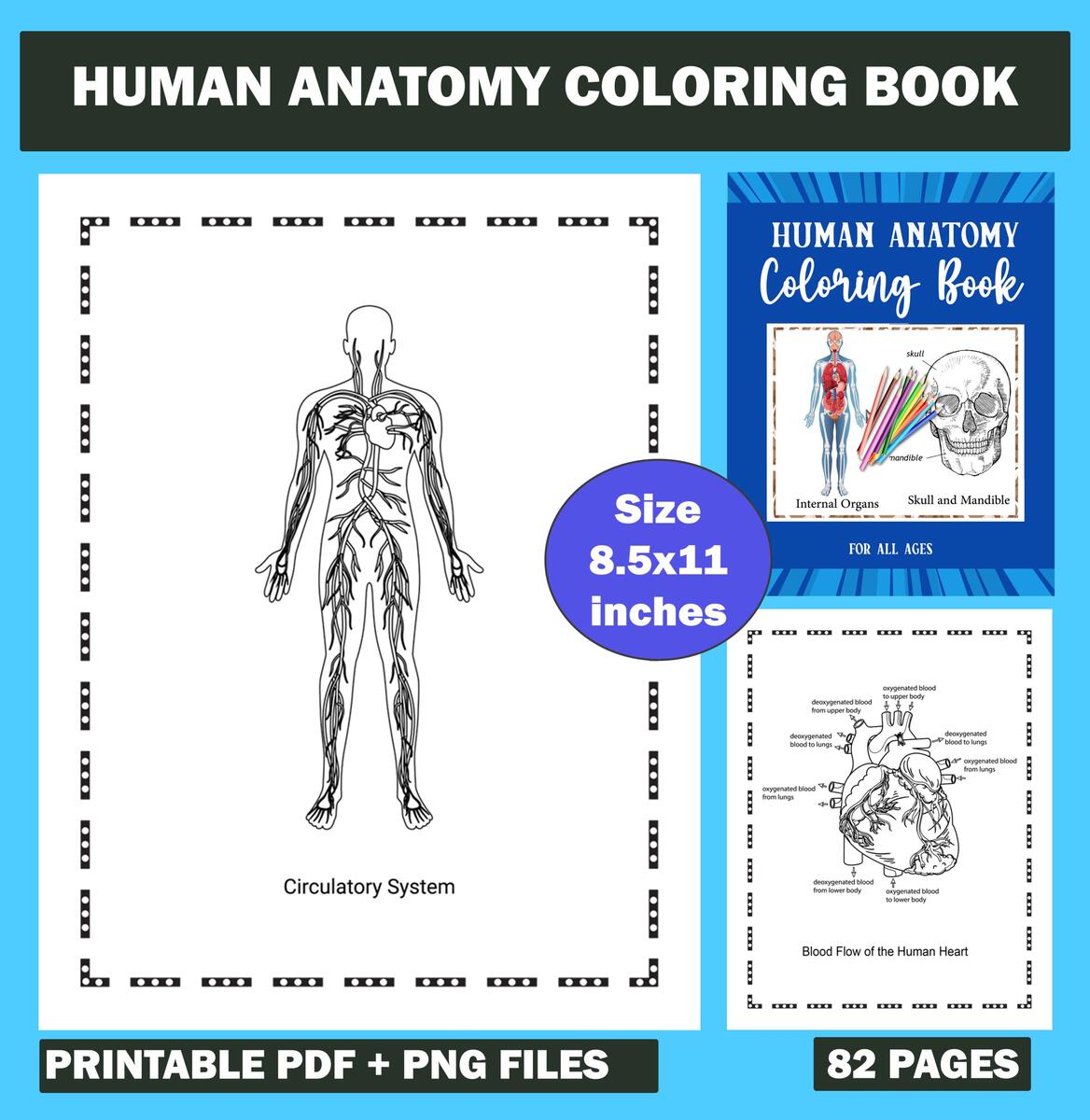 Printable Human Anatomy Coloring Book Instructive Guide For The Human Body And Physiology Made By Teachers Printable Human Anatomy Coloring Book Instructive Guide For The Human Body And Physiology Made By Teachers