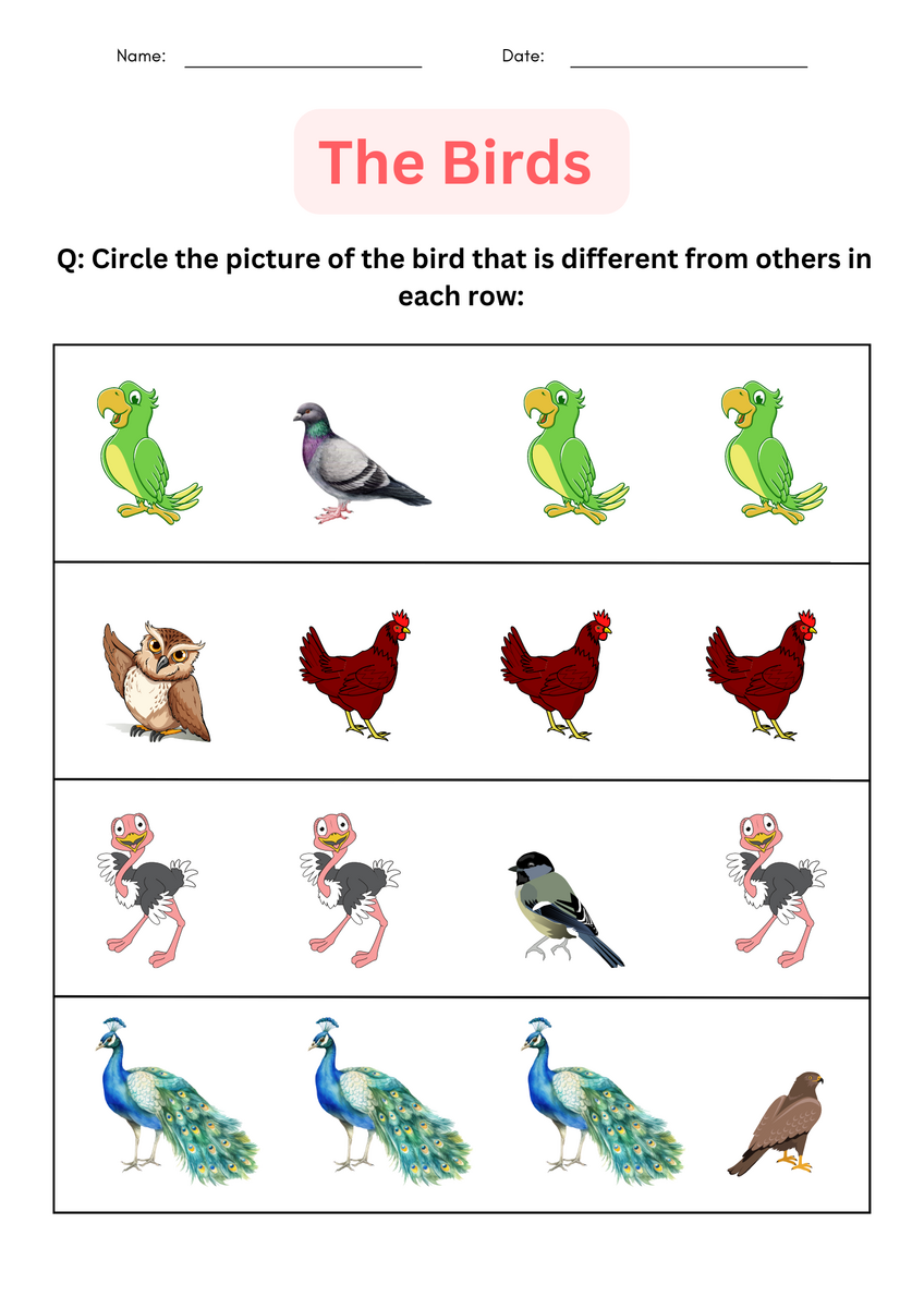 Printable Matching And Identify Birds Worksheet For Kindergarten Made By Teachers Printable Matching And Identify Birds Worksheet For Kindergarten Made By Teachers