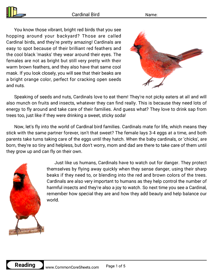 Reading Comprehension Birds Worksheets Reading Comprehension Birds Worksheets