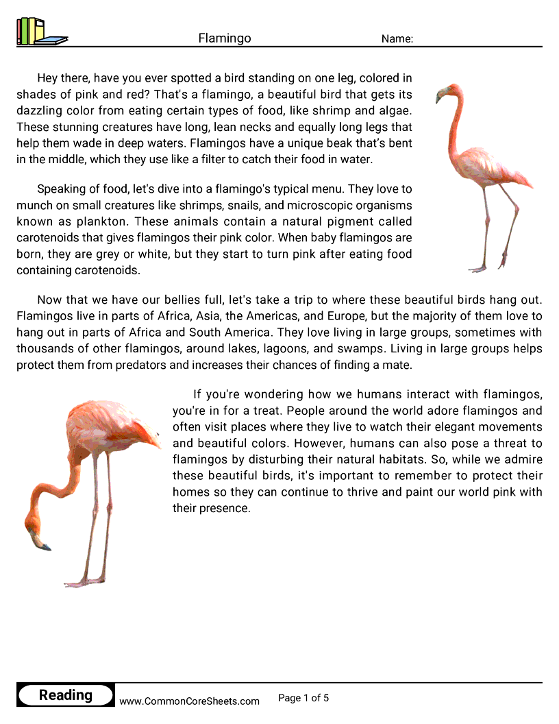 Reading Comprehension Birds Worksheets 6 FREE Executive Functioning Activity Worksheets Your Therapy Source