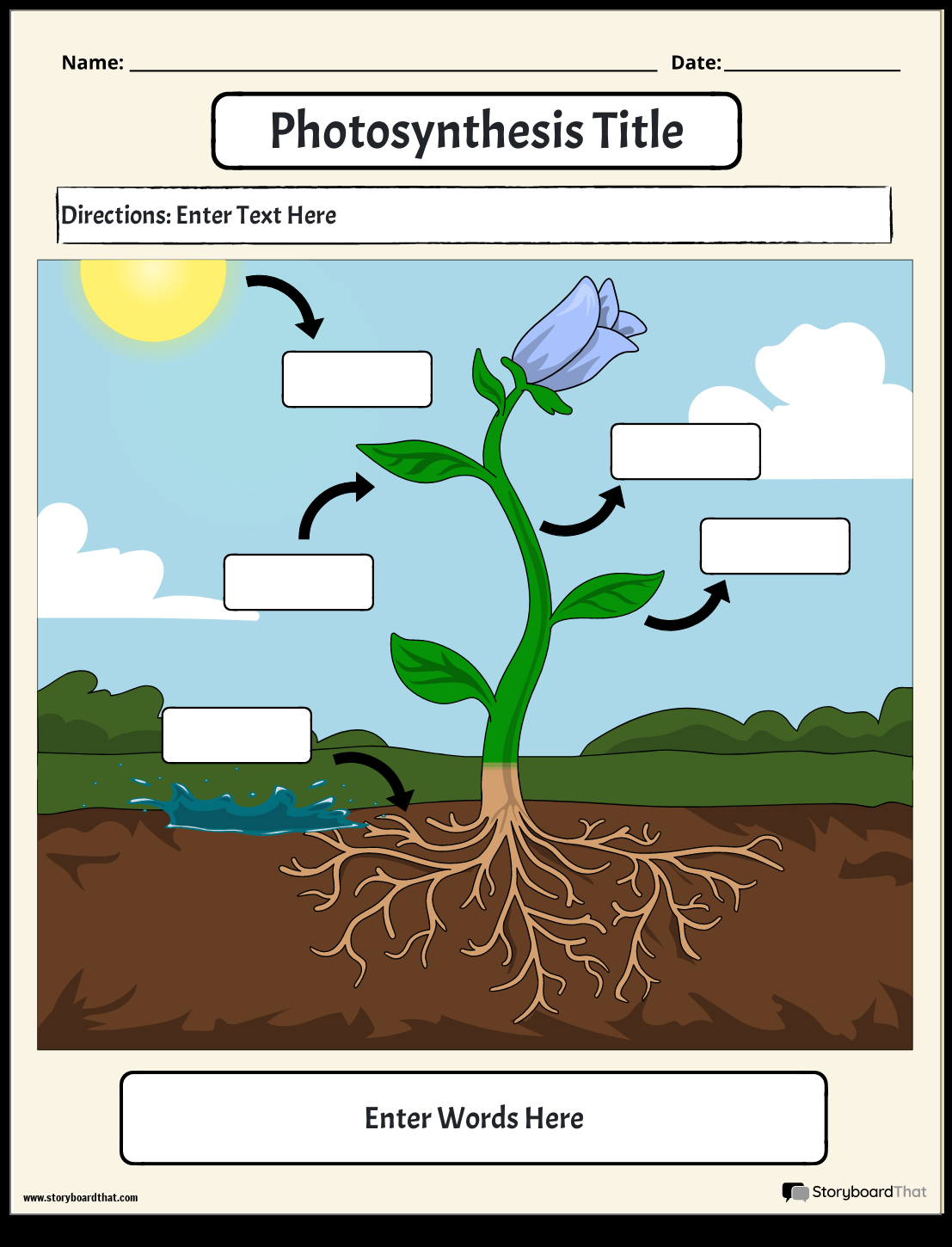 Storyboard That Photosynthesis Worksheet Templates