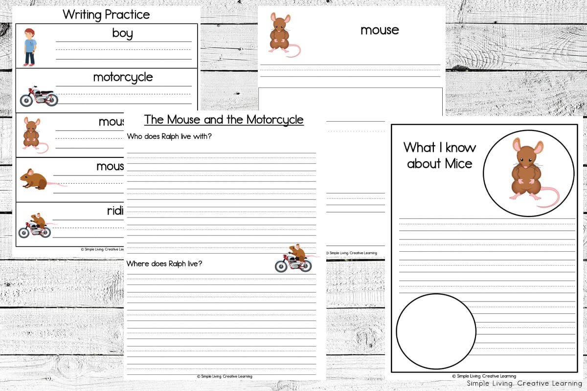 The Mouse And The Motorcycle Novel Study CHAPTER SLICE Worksheets Library
