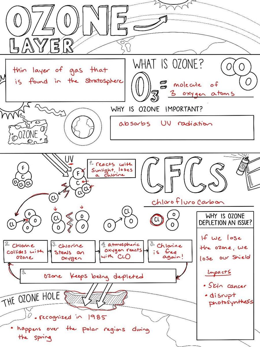 The Ozone Layer Sketch Notes By Creativity Meets Cognition TPT The Ozone Layer Sketch Notes By Creativity Meets Cognition TPT