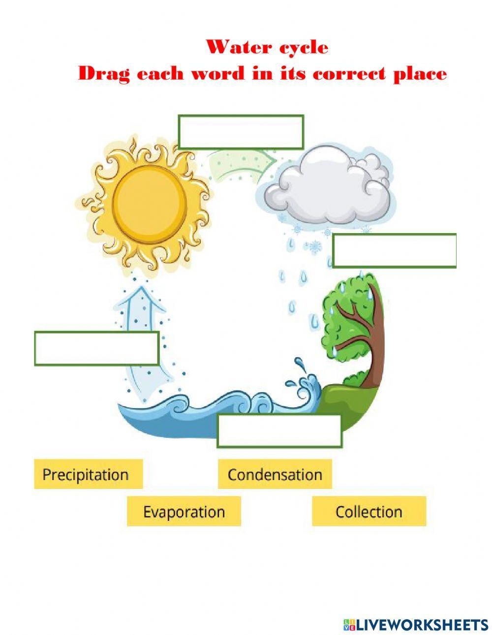 Water Cycle Online Activity For 2 Worksheets Library Water Cycle Online Activity For 2 Worksheets Library