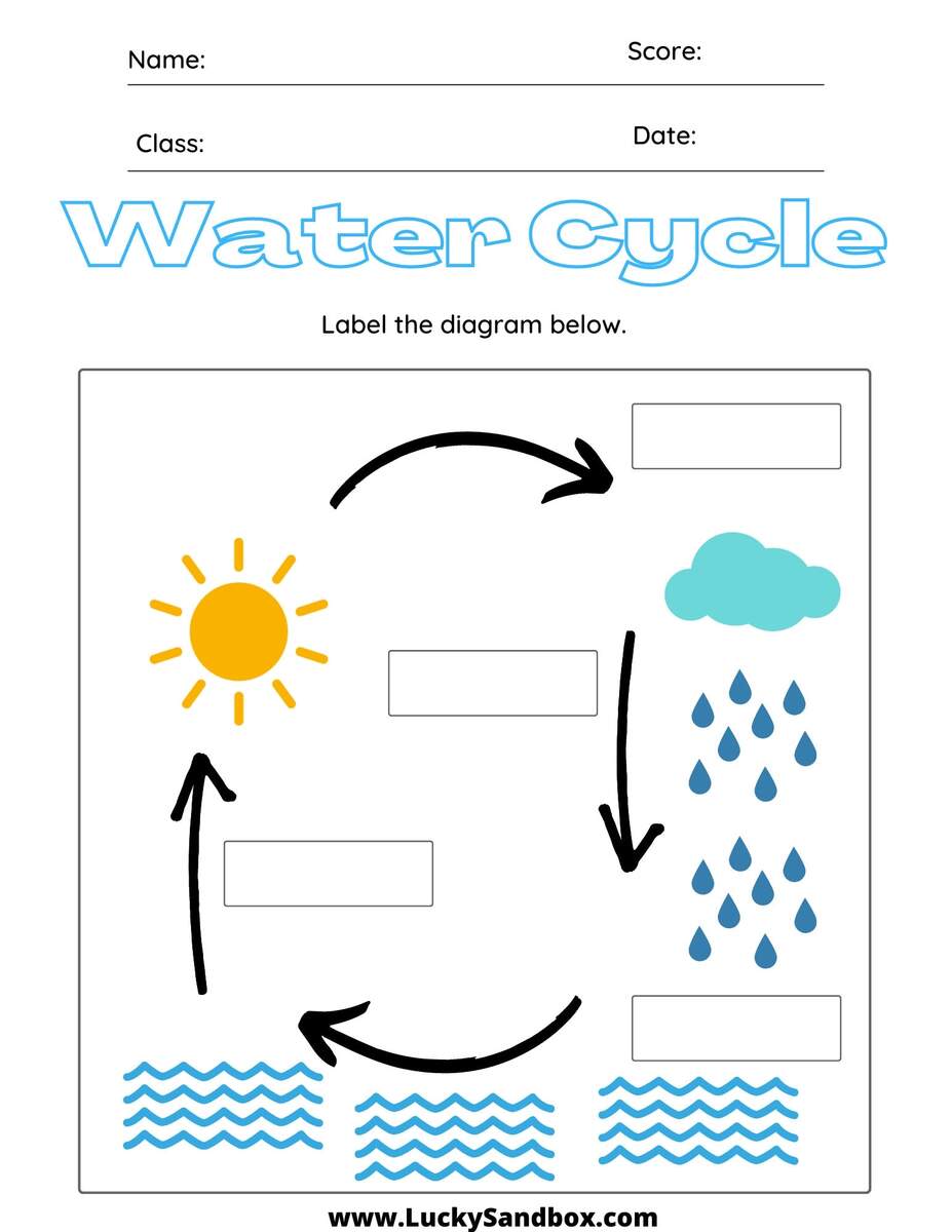 Printable Diagram Science Water Cycle Worksheet And Activities For Grade 1 2 3 Made By Teachers