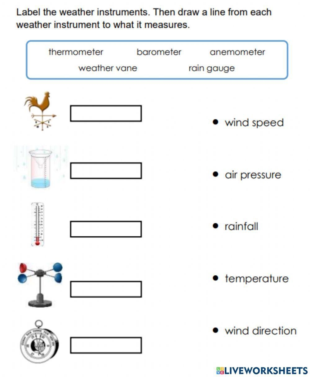 Weather Instruments Trisha Haynes Worksheets Library